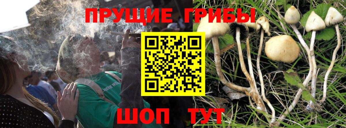 Галлюциногенные грибы ЛСД  Вход с VPN  Сатка 