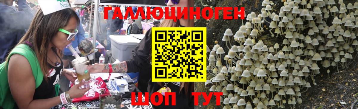 Псилоцибиновые грибы мицелий Сатка